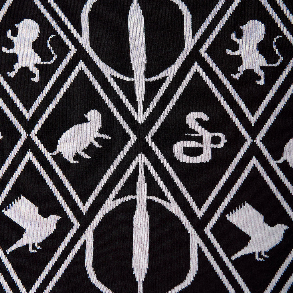 Image produit Harry Potter - Poncho Symboles Magiques