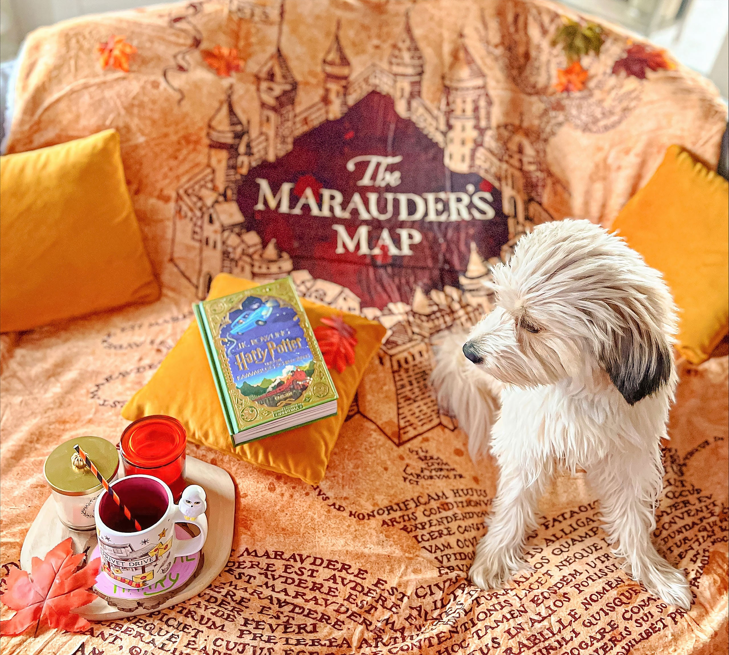 Image produit Harry Potter - Carte du Maraudeur Couverture Moelleuse avec Fourrure Teddy