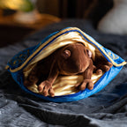 Image produit Harry Potter - Coussin Grenouille en Chocolat avec Figurine en Peluche