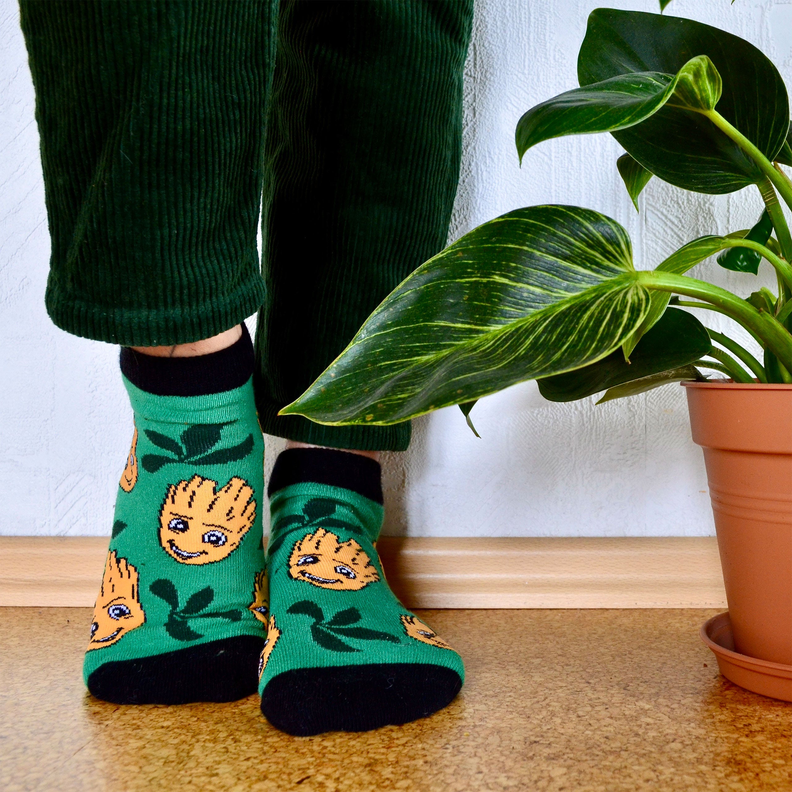 Image produit Gardiens de la Galaxie - Ensemble de 5 chaussettes Baby Groot