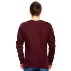 Image produit Harry Potter - Pull d'équipe Gryffondor rouge