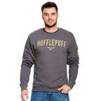 Image produit Harry Potter - Pull d'équipe Hufflepuff gris