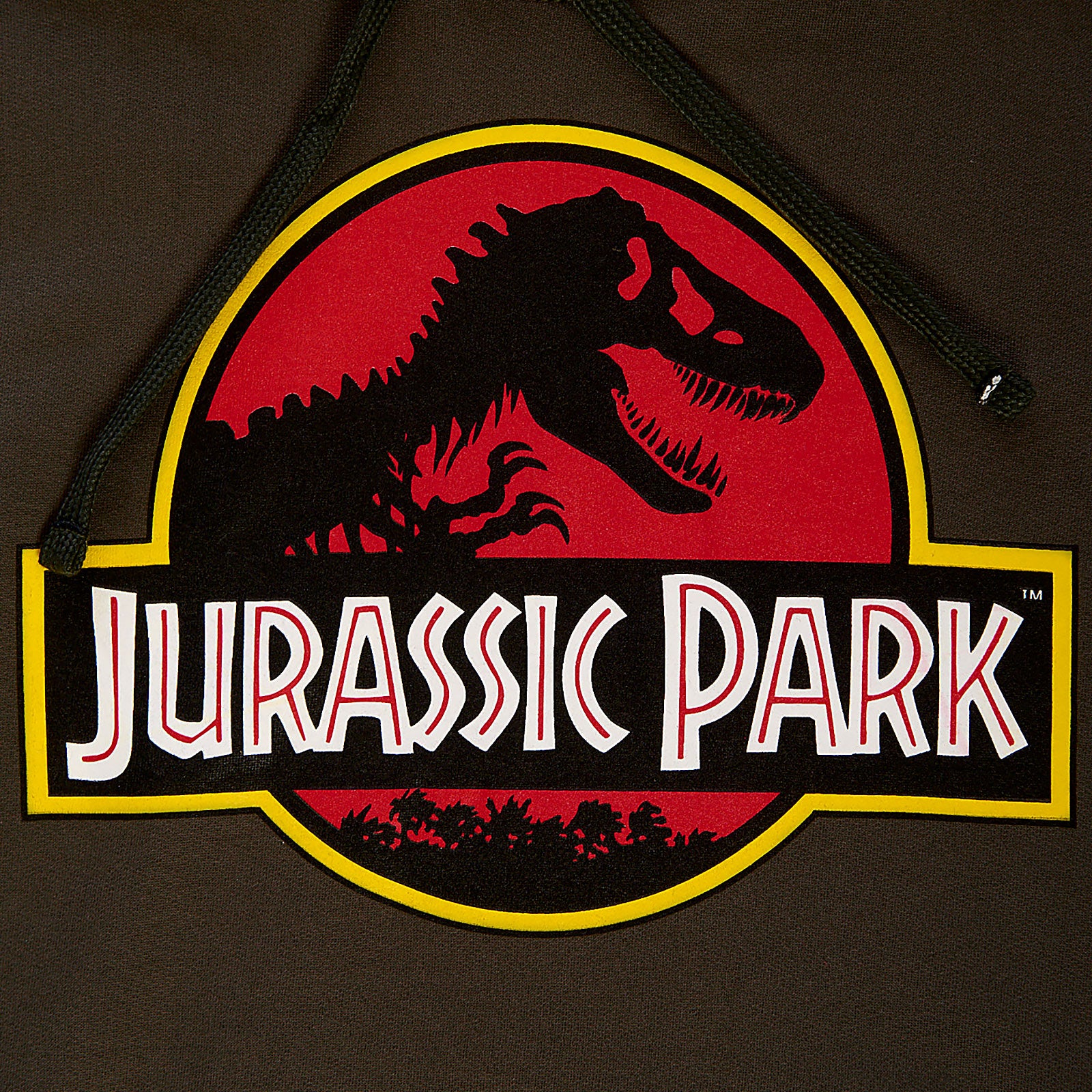 Image produit Jurassic Park - Sweat à capuche vert avec logo