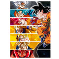Image produit Poster métallique Goku pour les fans de Dragon Ball