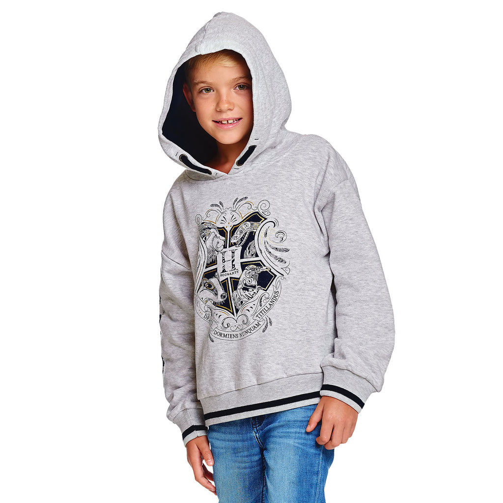 Image produit Harry Potter - Sweat à capuche enfant Poudlard gris