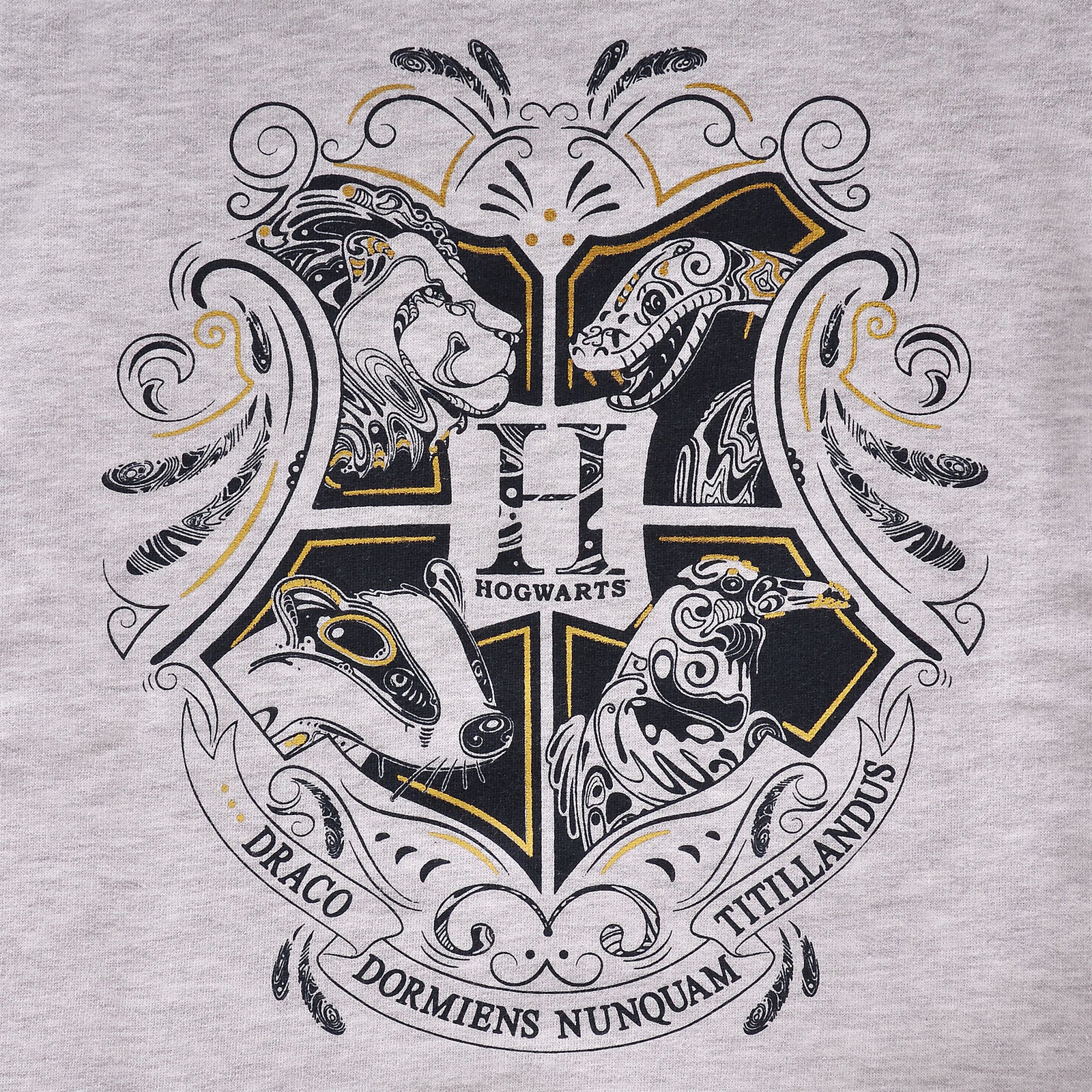 Image produit Harry Potter - Sweat à capuche enfant Poudlard gris