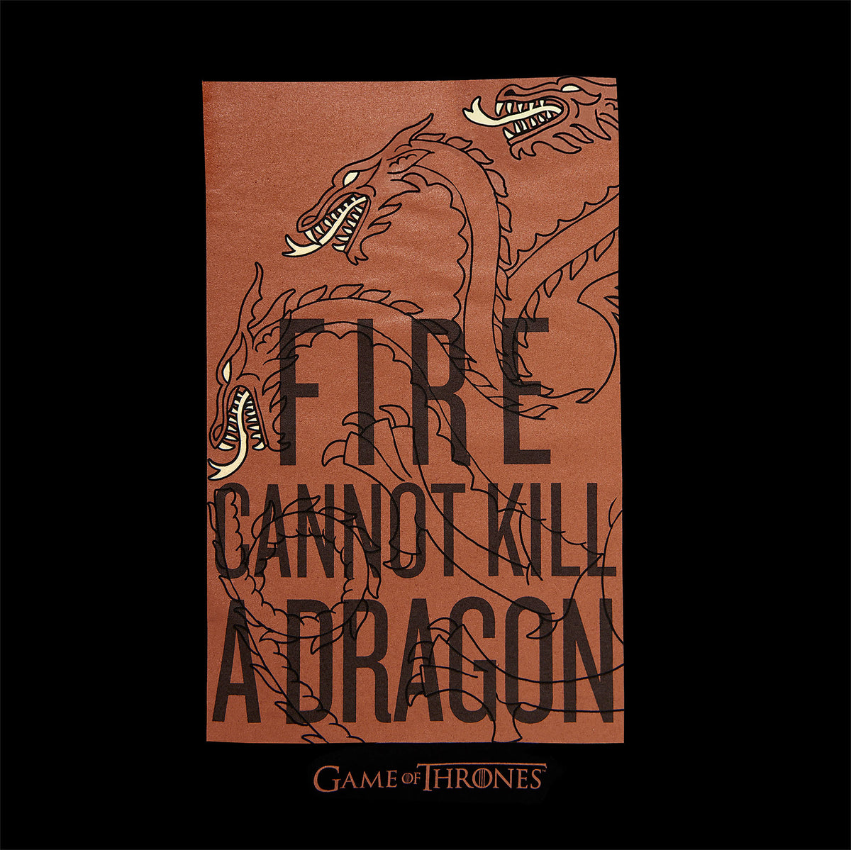 Image produit Game of Thrones - Le feu ne peut pas tuer un dragon T-shirt Targaryen noir