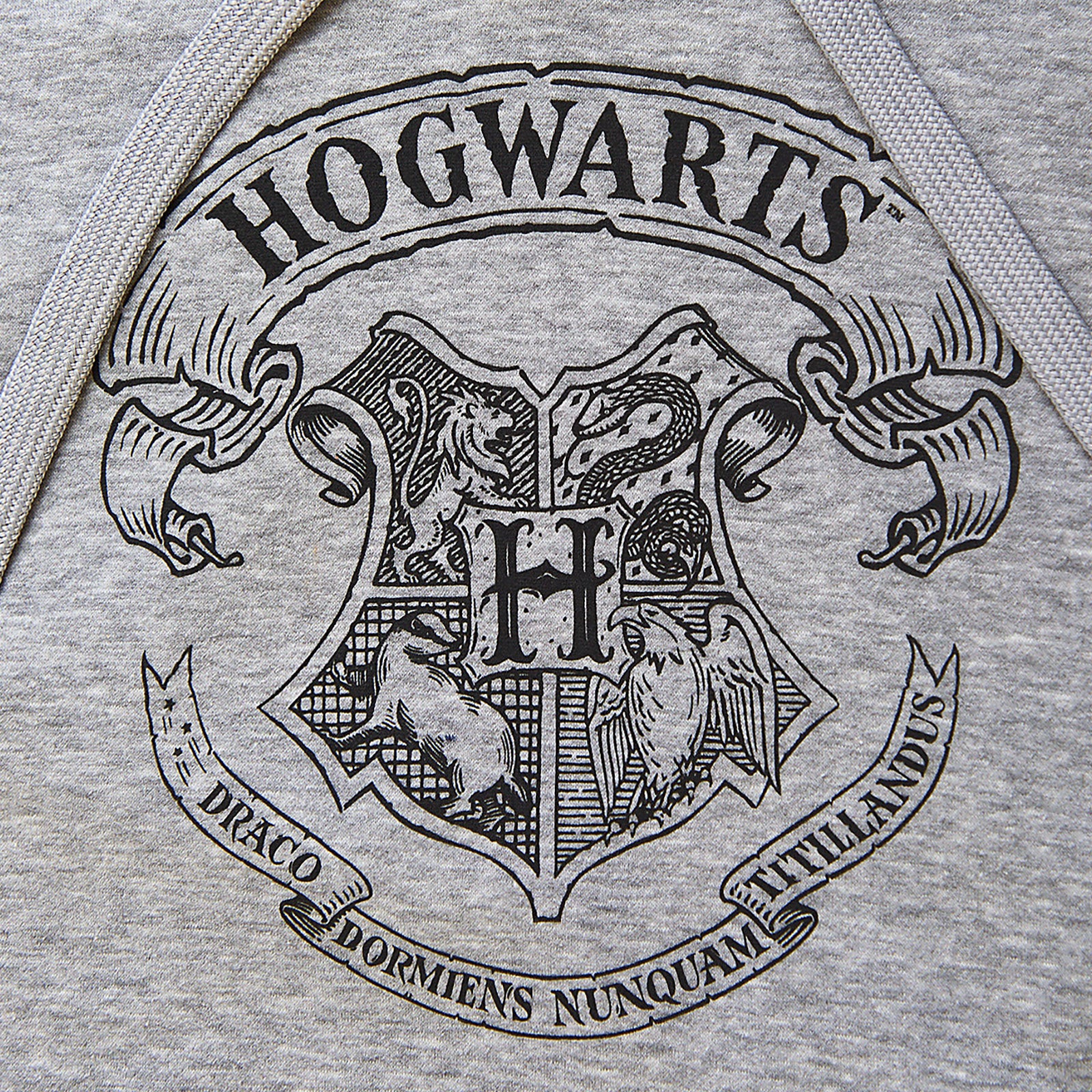 Image produit Harry Potter - Sweat à capuche gris avec blason de Poudlard