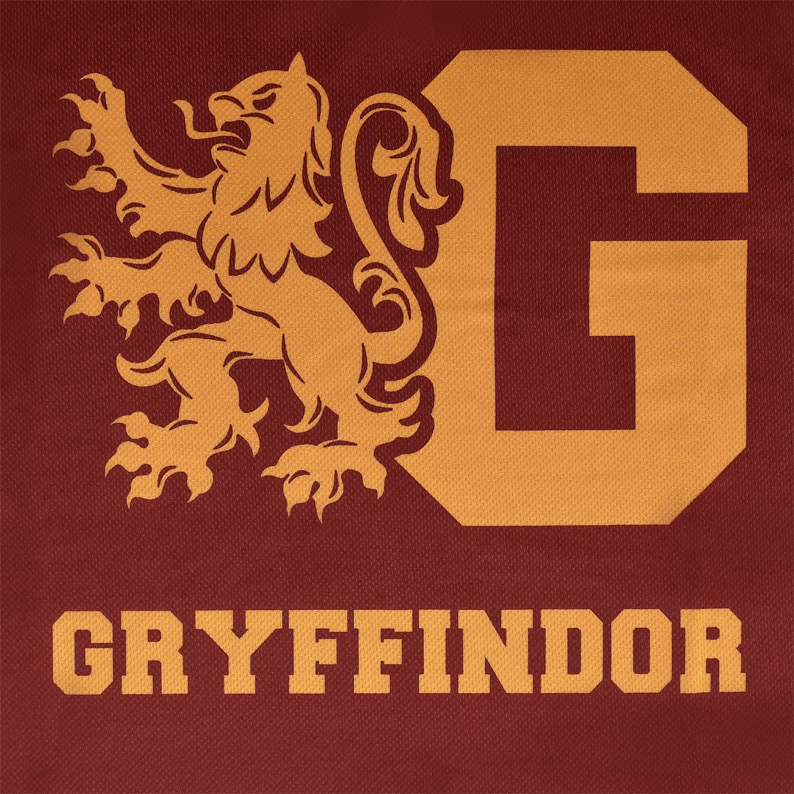 Product image Harry Potter - Team Gryffindor T-Shirt red