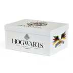 Image produit Harry Potter - Ensemble cadeau Quidditch de Poudlard