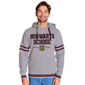 Product image Harry Potter - Hogwarts School Hoodie grey