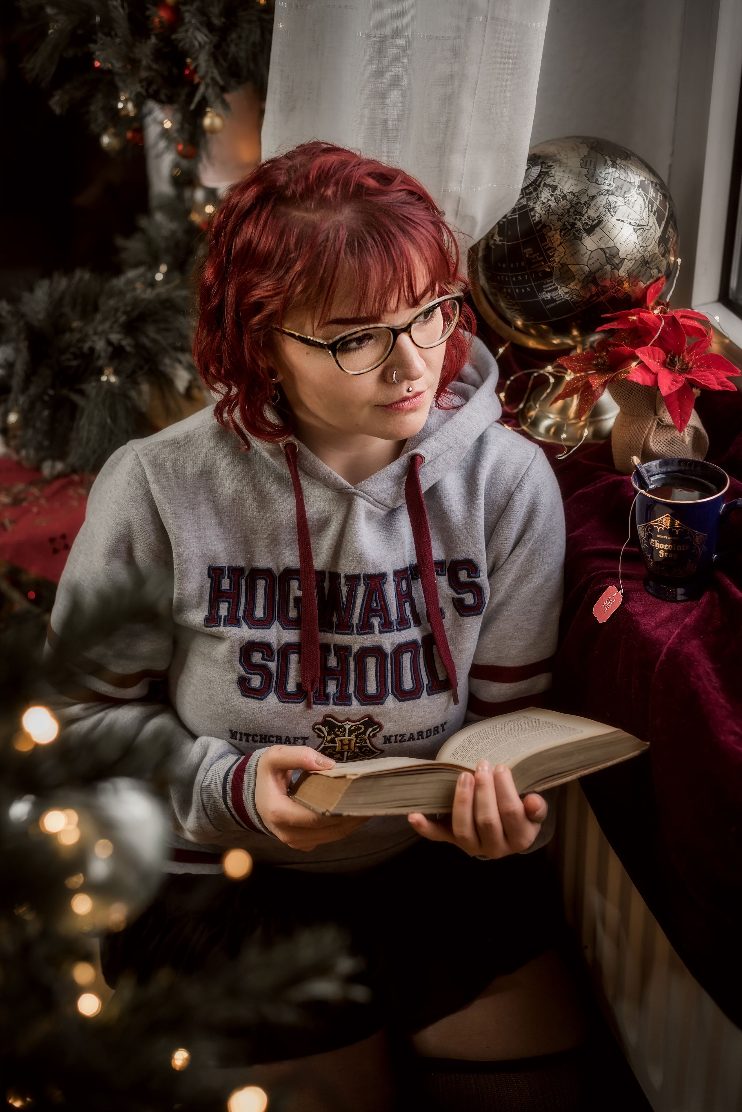 Image produit Harry Potter - Sweat à capuche Hogwarts School gris