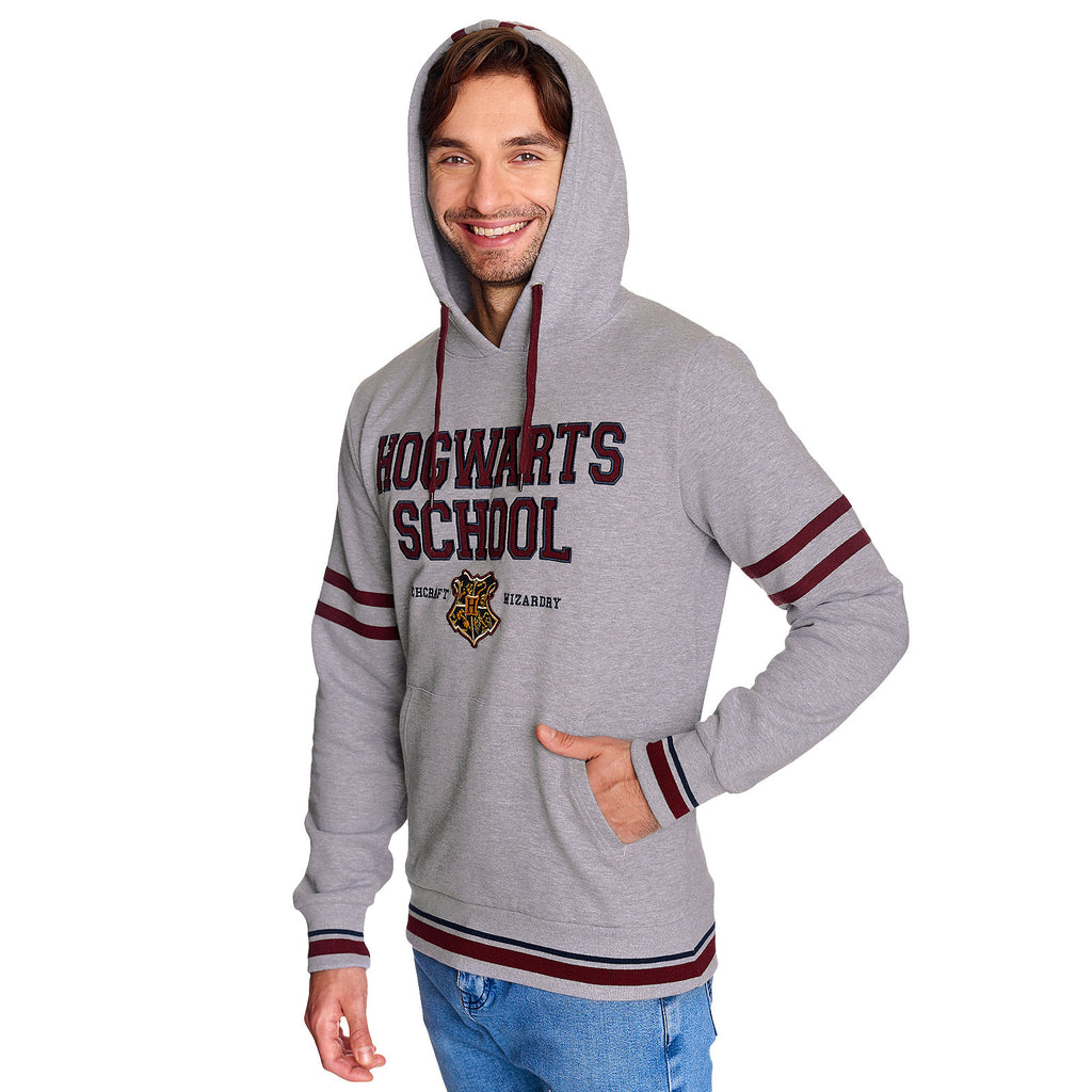 Product image Harry Potter - Hogwarts School Hoodie grey