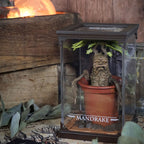 Image produit Mandrake - Figurine Magique de Harry Potter