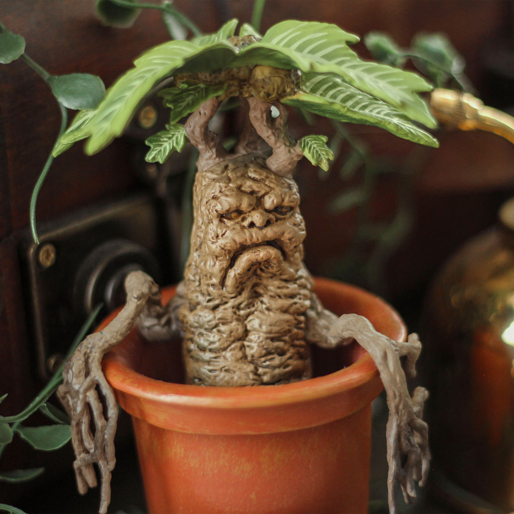 Image produit Mandrake - Figurine Magique de Harry Potter