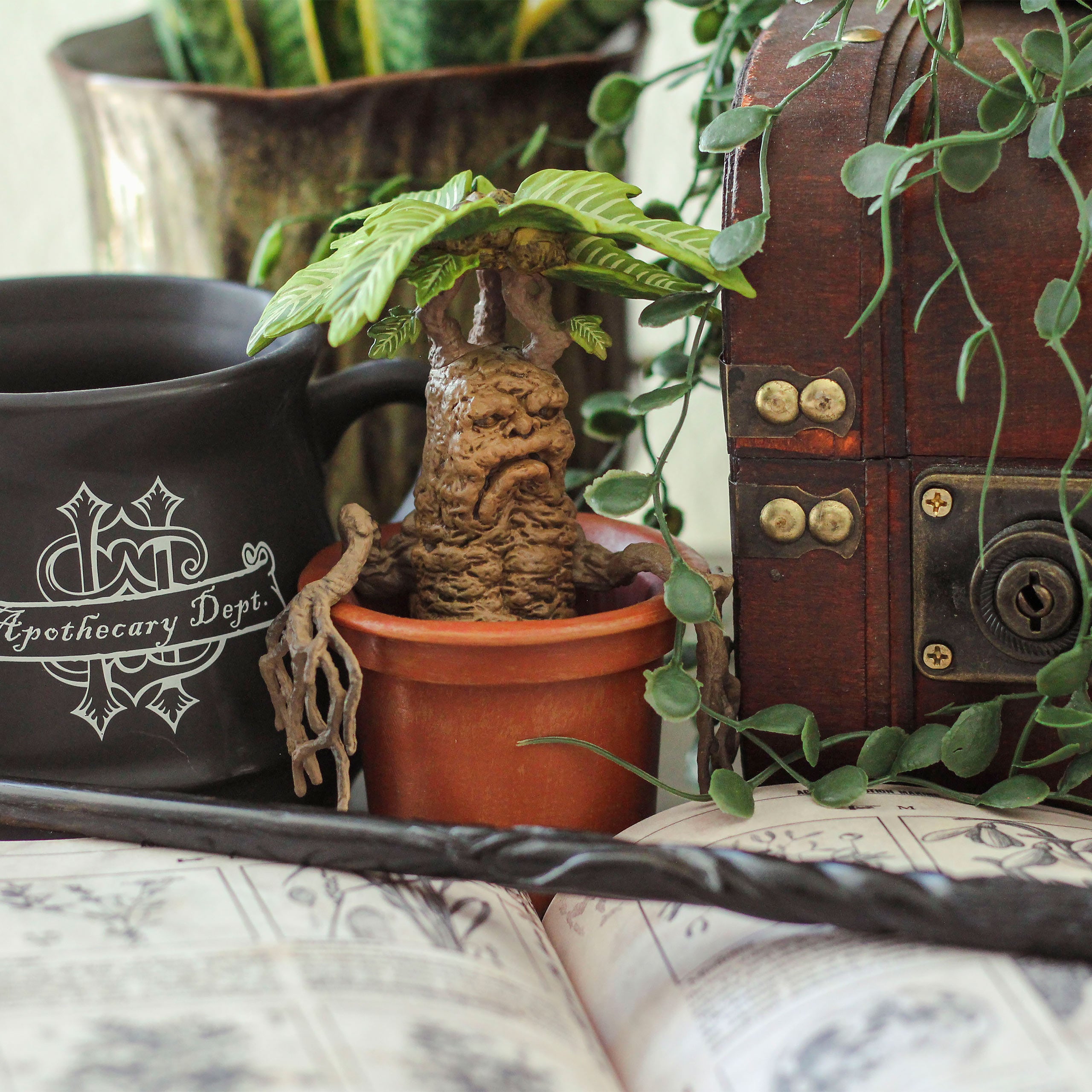 Image produit Mandrake - Figurine Magique de Harry Potter
