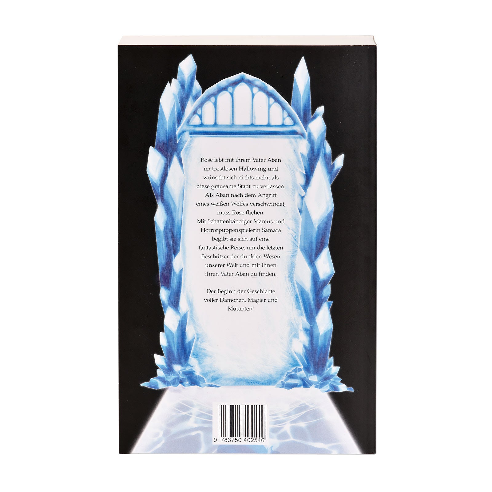 Image produit Miroir d'Ombre Broché