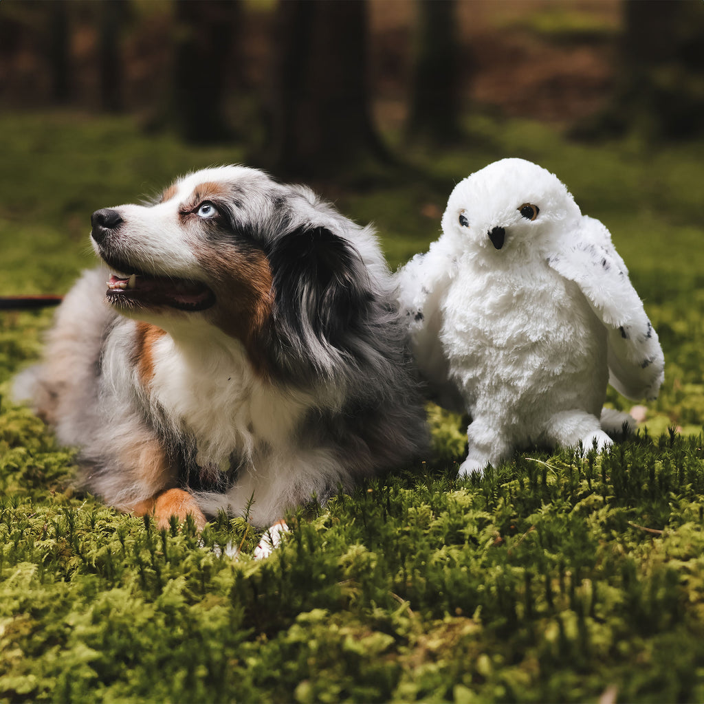 Image produit Hedwig avec ailes ouvertes figure en peluche 28 cm - Harry Potter