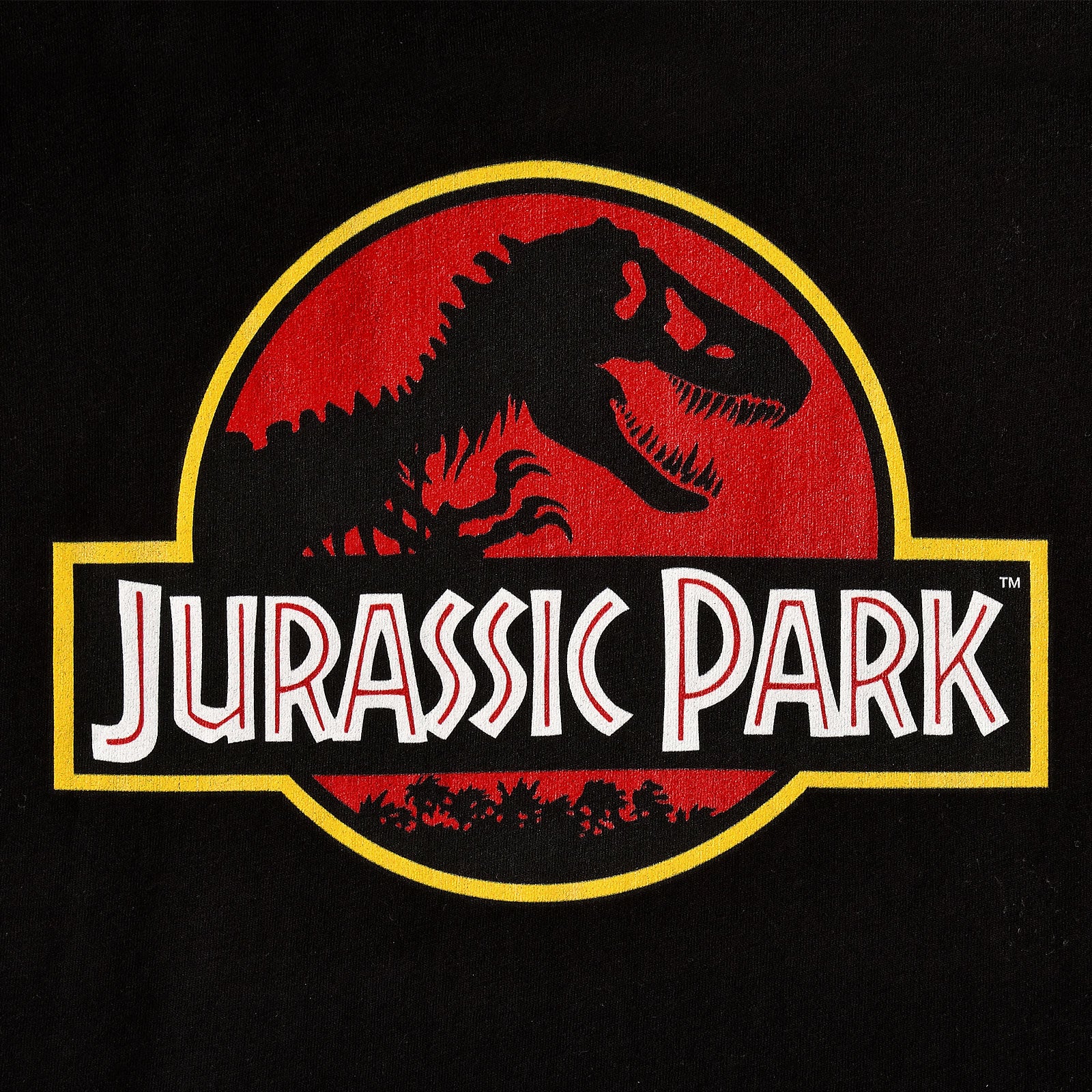 Image produit Jurassic Park - T-shirt logo femme noir