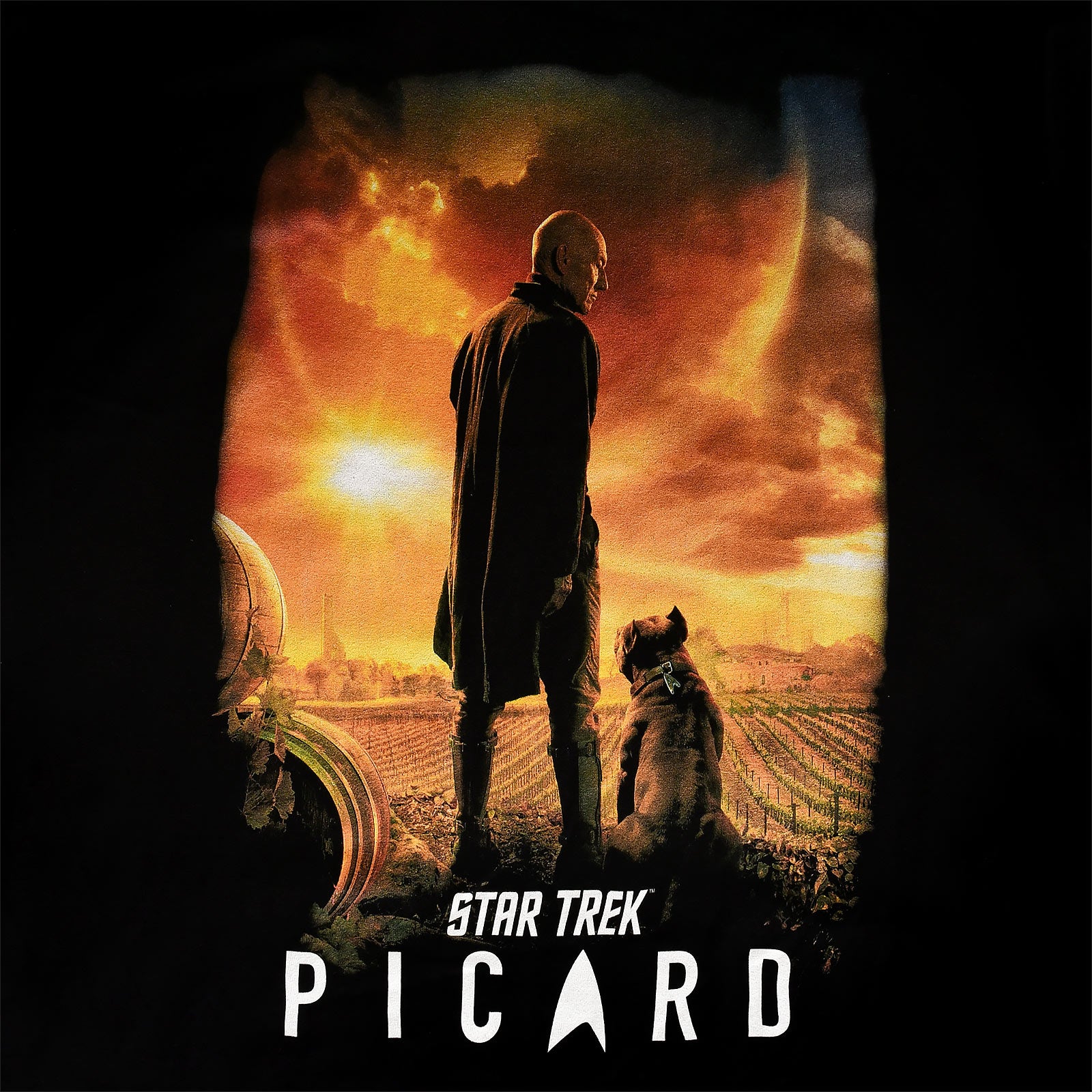 Image produit Star Trek - T-shirt Poster Picard noir