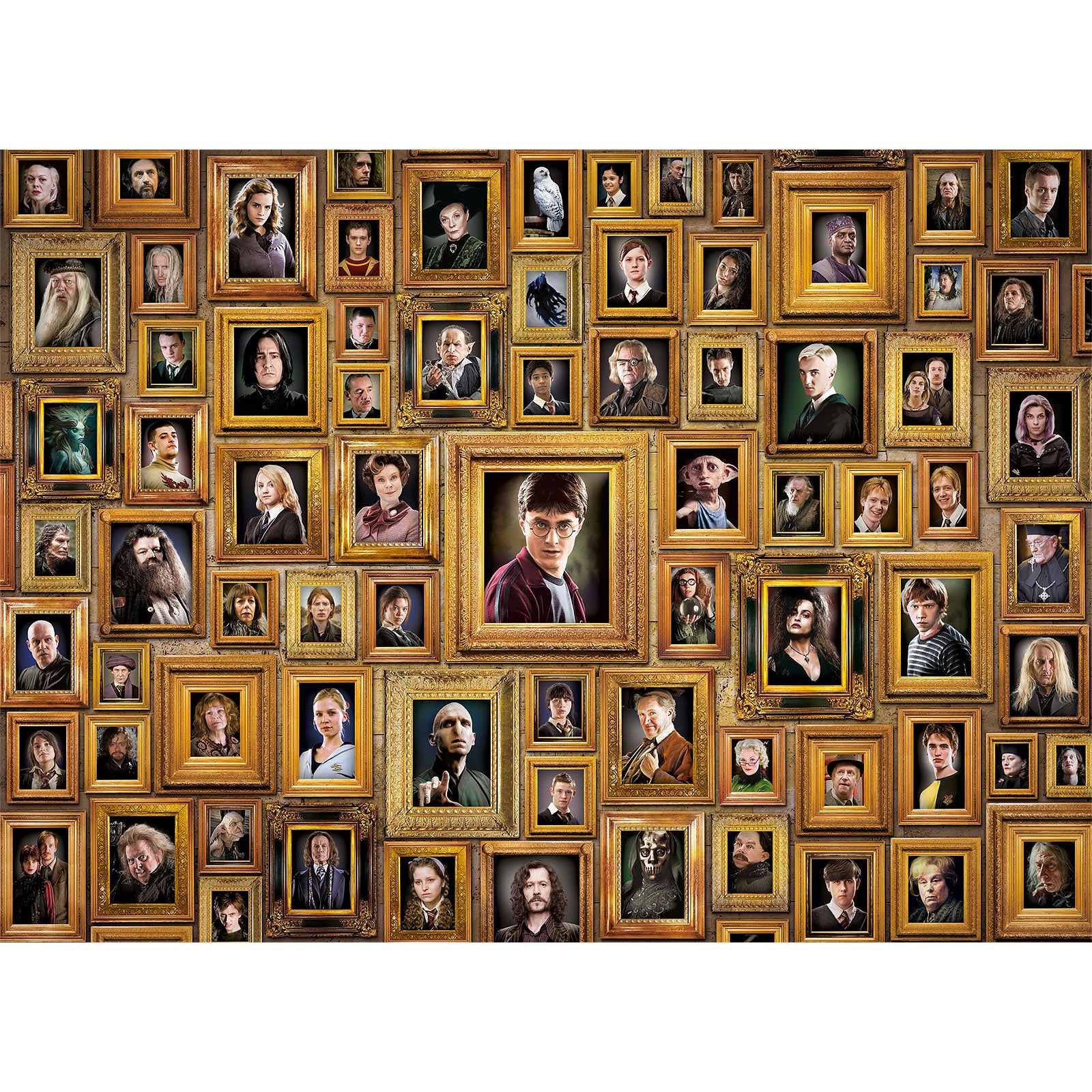 Image produit Harry Potter - Puzzle Impossible Characters