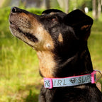 Image produit Collier Supergirl Click pour chiens rose-bleu