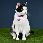 Image produit Collier Supergirl Click pour chiens rose-bleu