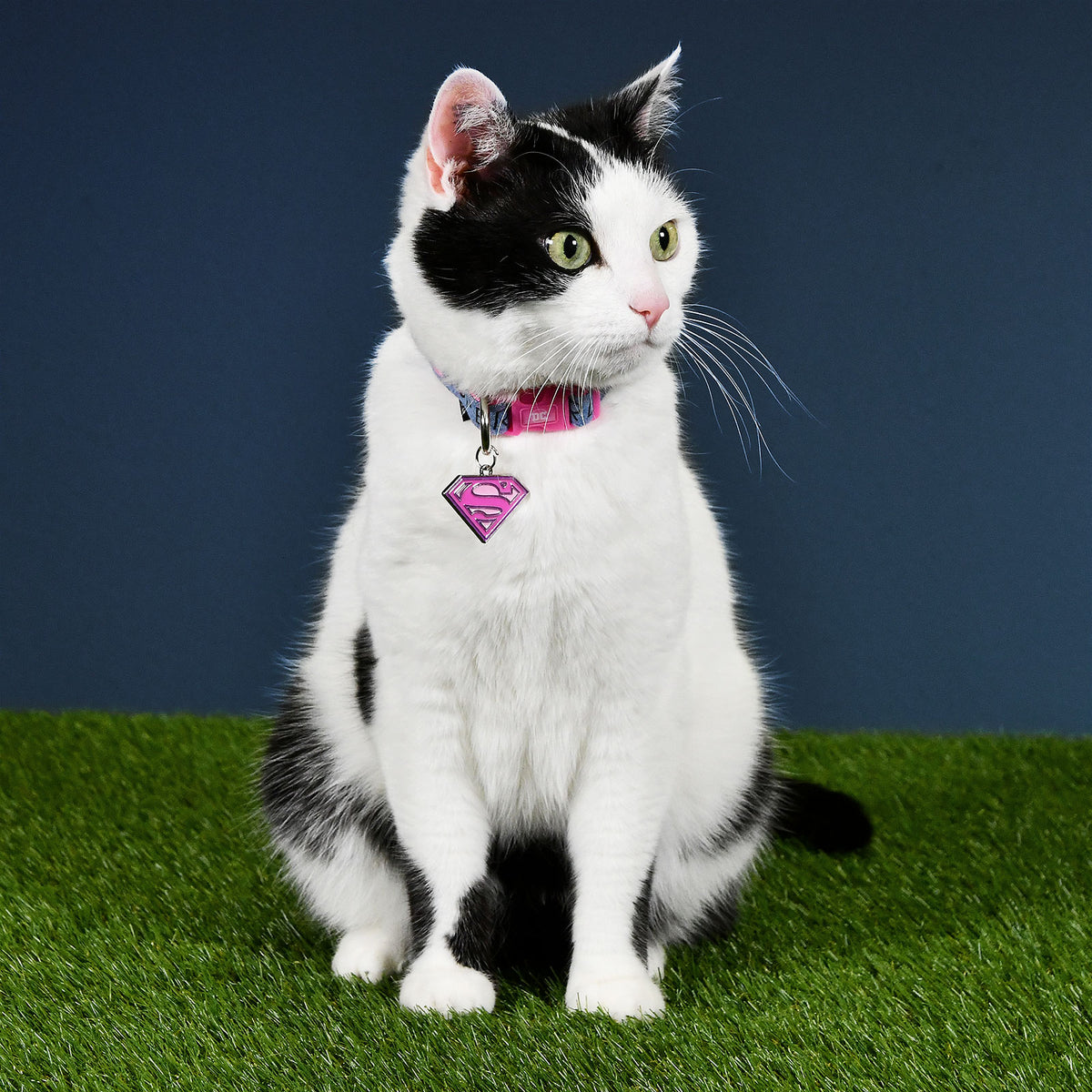 Image produit Collier Supergirl Click pour chiens rose-bleu