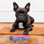 Image produit Laisse de chien Supergirl rose-bleue