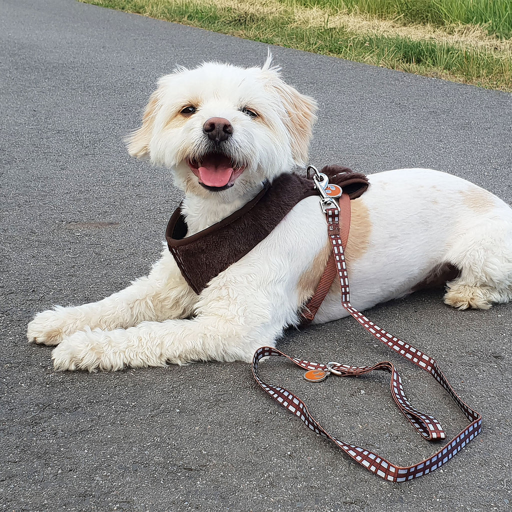 Image produit Star Wars - Harnais pour chien Chewbacca marron