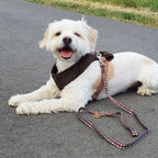 Image produit Star Wars - Harnais pour chien Chewbacca marron
