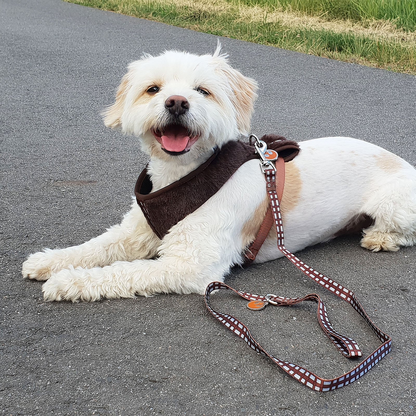 Image produit Star Wars - Harnais pour chien Chewbacca marron