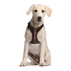 Image produit Star Wars - Harnais pour chien Chewbacca marron