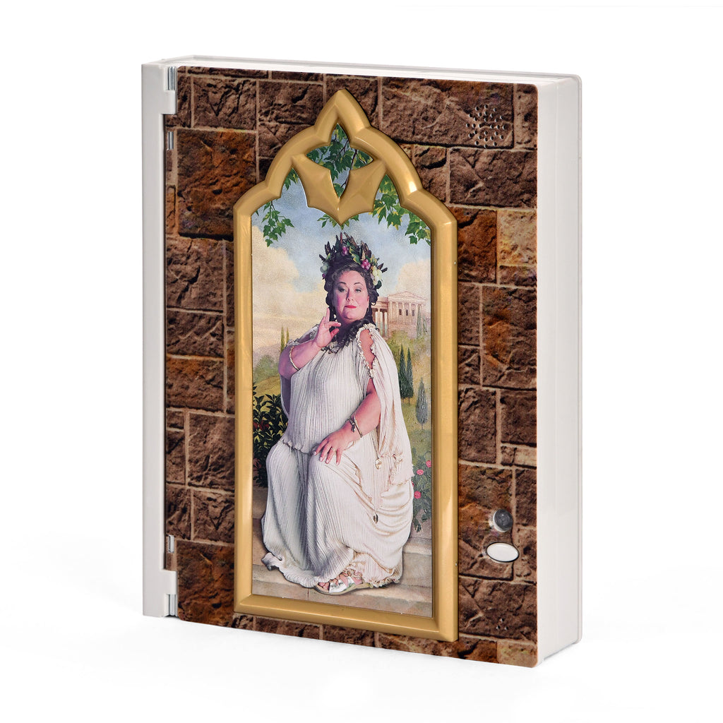 Image produit Harry Potter - Boîte Dame Grasse avec bloc-notes et mot de passe