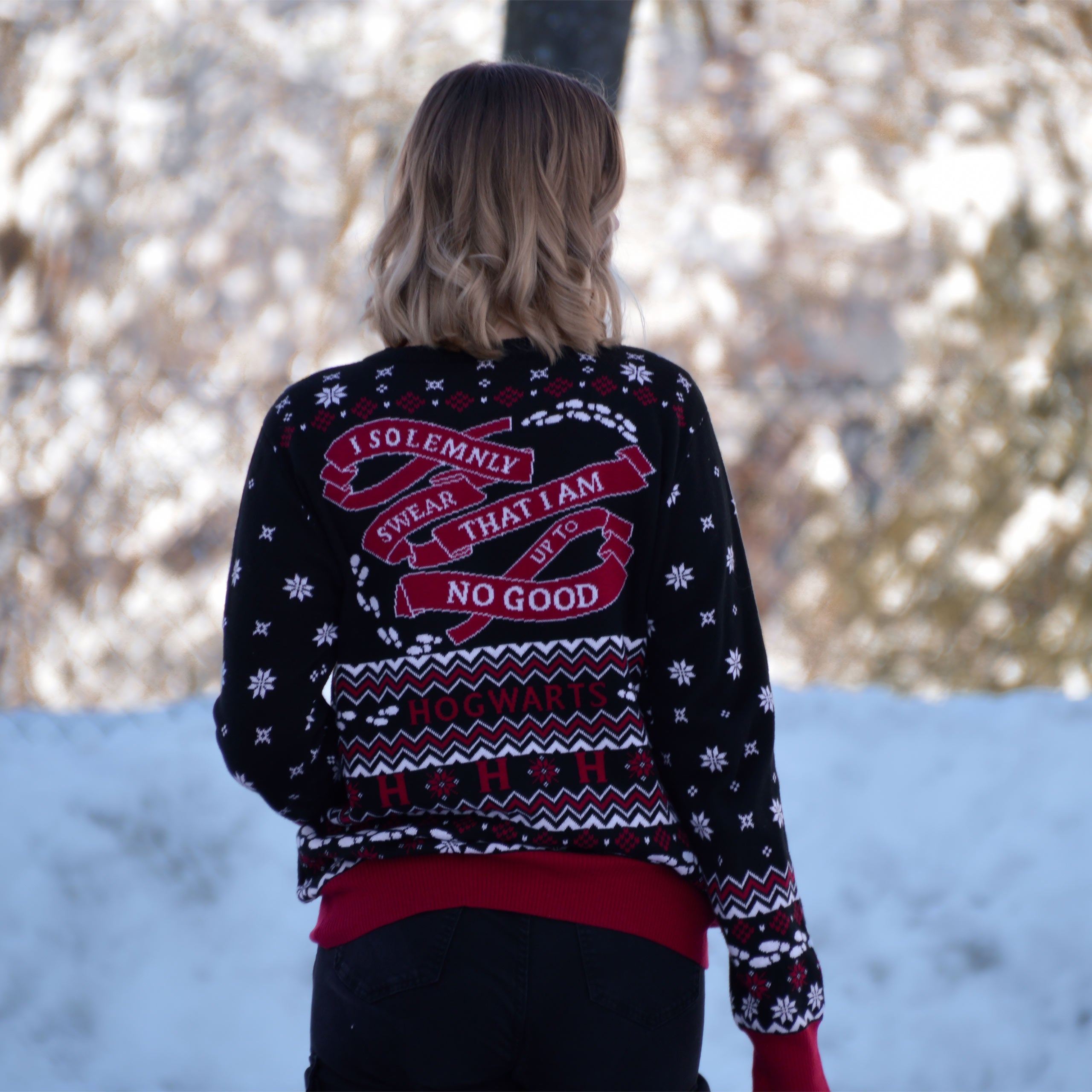 Image produit Harry Potter - Pull en tricot Carte du Maraudeur