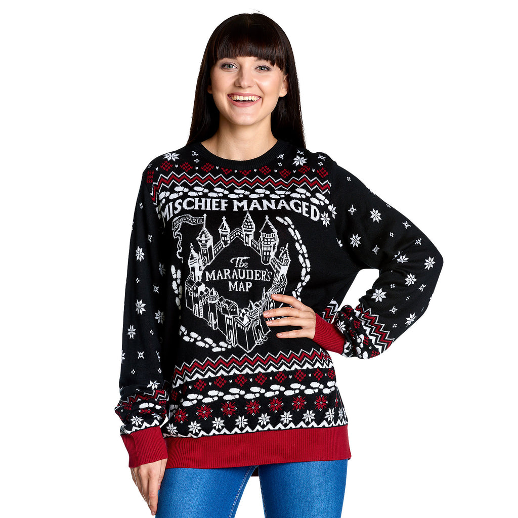 Image produit Harry Potter - Pull en tricot Carte du Maraudeur