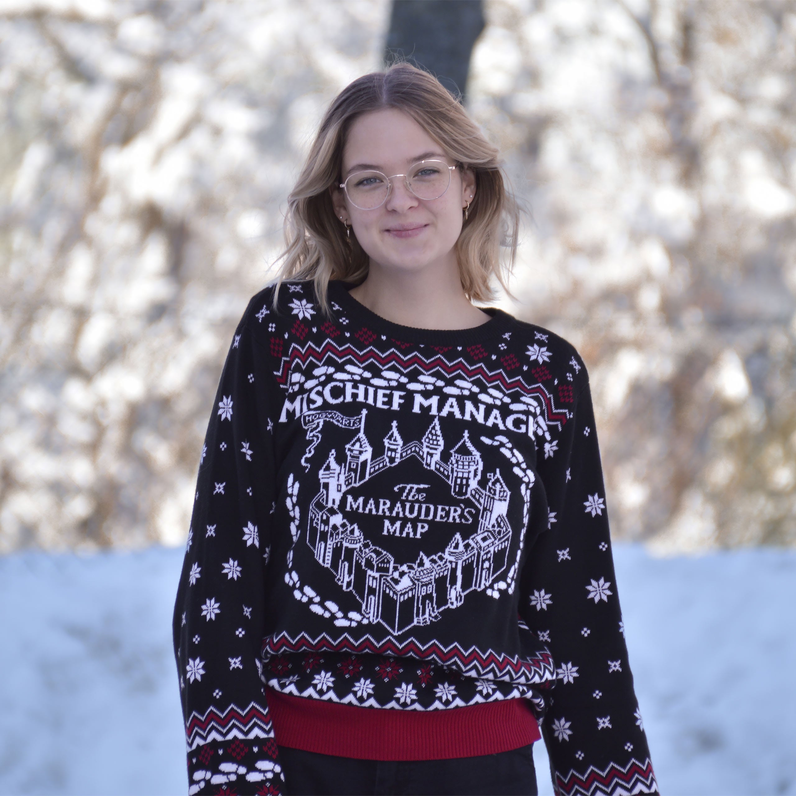 Image produit Harry Potter - Pull en tricot Carte du Maraudeur