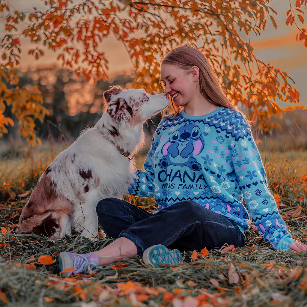 Image produit Lilo & Stitch - Ohana Signifie Famille Pull Tricoté