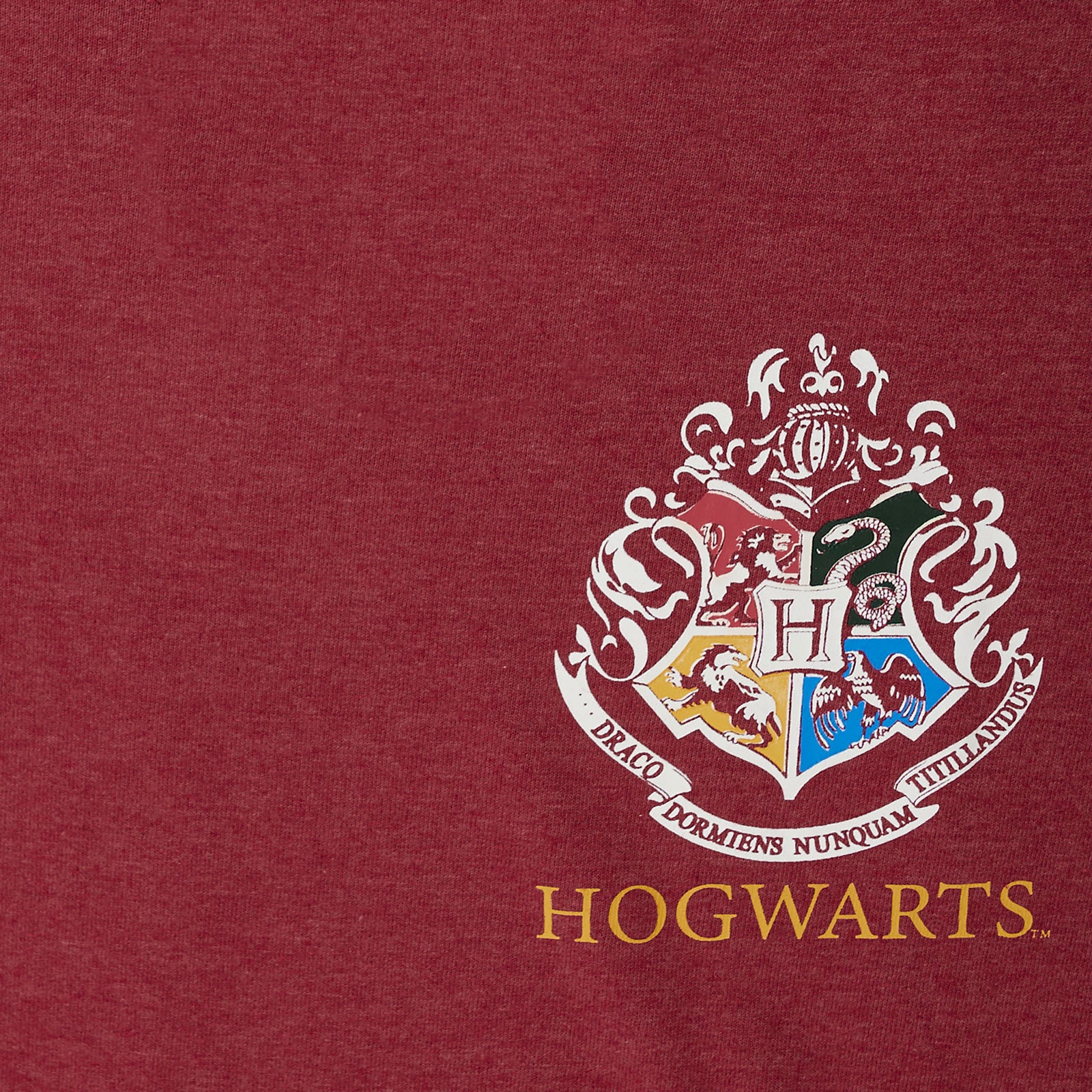 Product image Harry Potter Gryffindor Seeker Oversize T-Shirt Women Red