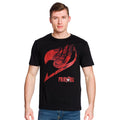 Image produit Fairy Tail - Logo avec T-shirt Natsu noir