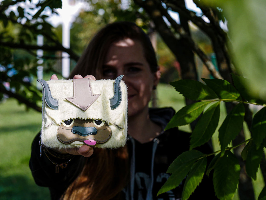 Image produit Avatar - Portefeuille Appa avec Aang