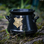 Image produit Harry Potter - Blason de Poudlard Chaudron Tasse 3D noir