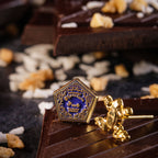 Image produit Harry Potter - Boucles d’oreilles Chocogrenouille