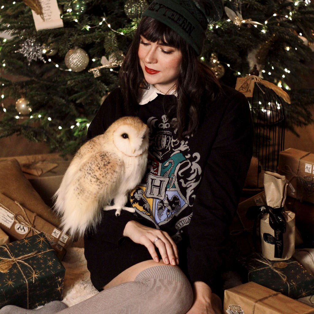 Image produit Harry Potter - Pull oversize noir avec blason de Poudlard