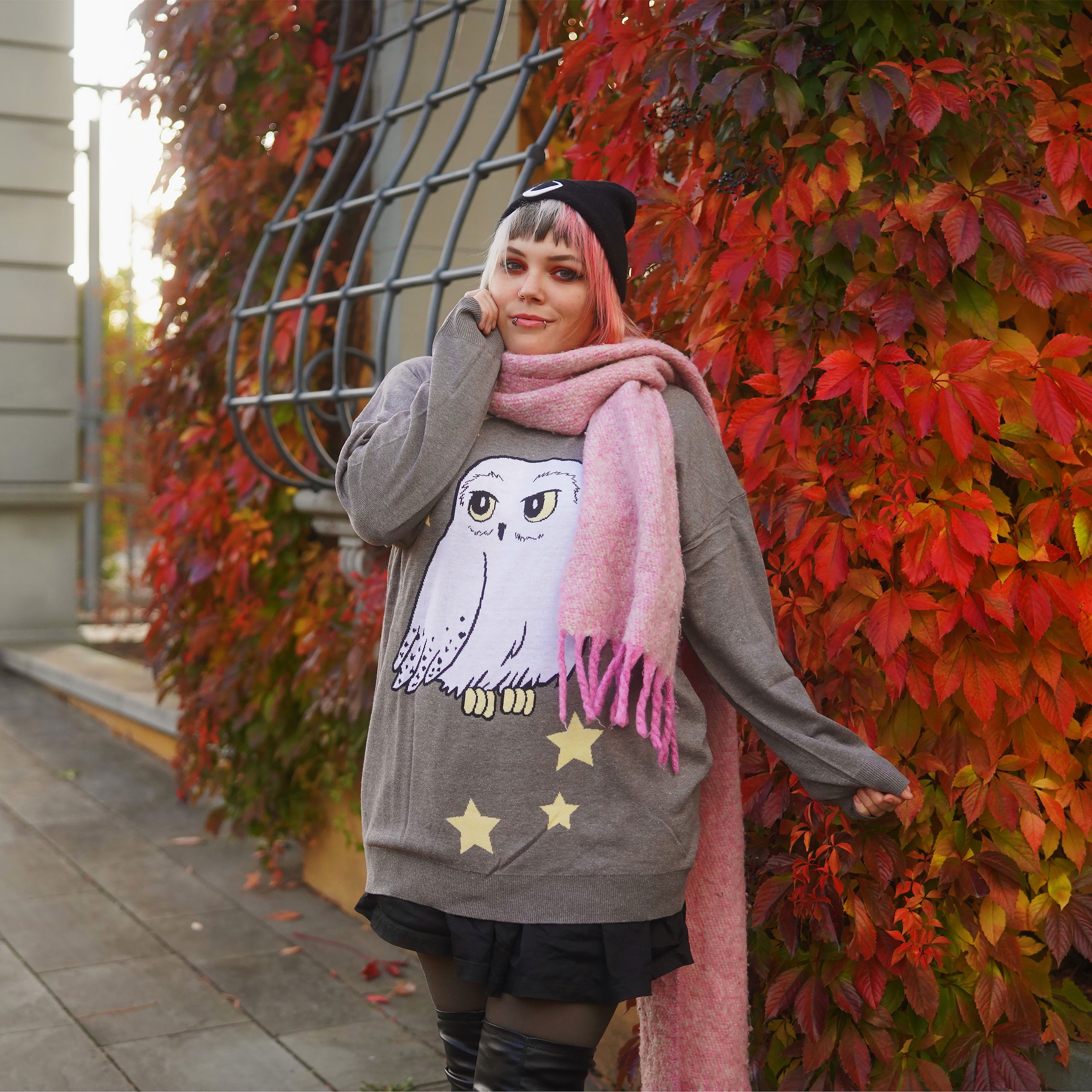 Image produit Harry Potter - Sweat Oversize Hedwig gris