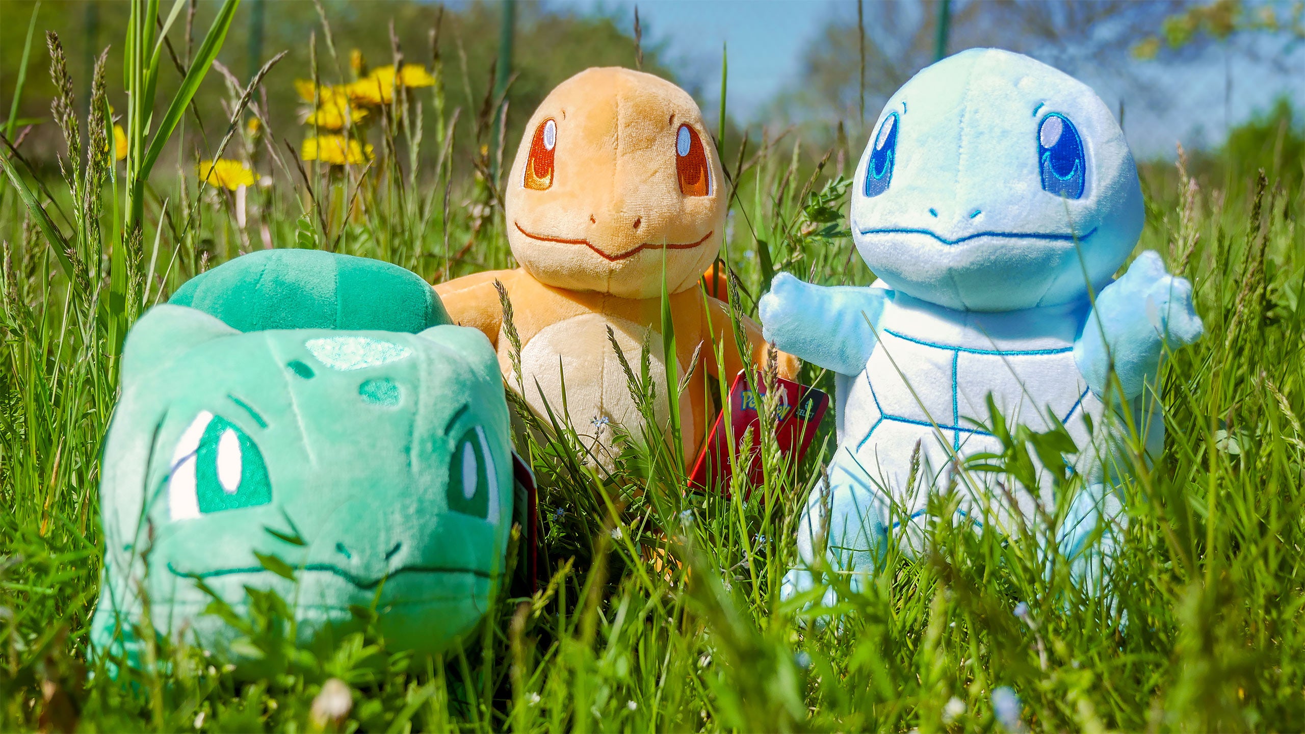 Image produit Pokemon - Figurine en peluche Squirtle monochrome 21 cm
