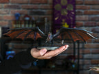 Image produit Game of Thrones - Figurine Drogon