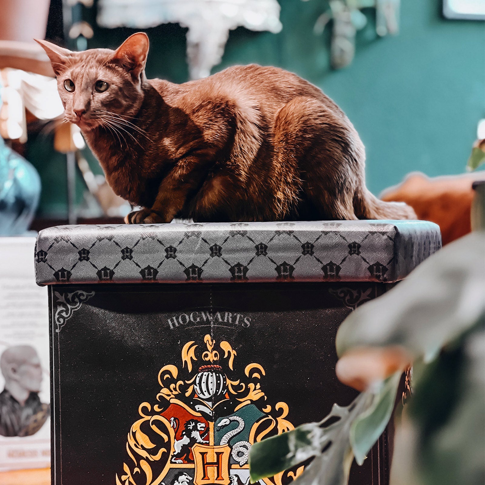 Image produit Harry Potter - Tabouret Hogwarts avec rangement