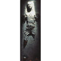Image produit Star Wars - Han Solo en Carbonite Poster de Porte