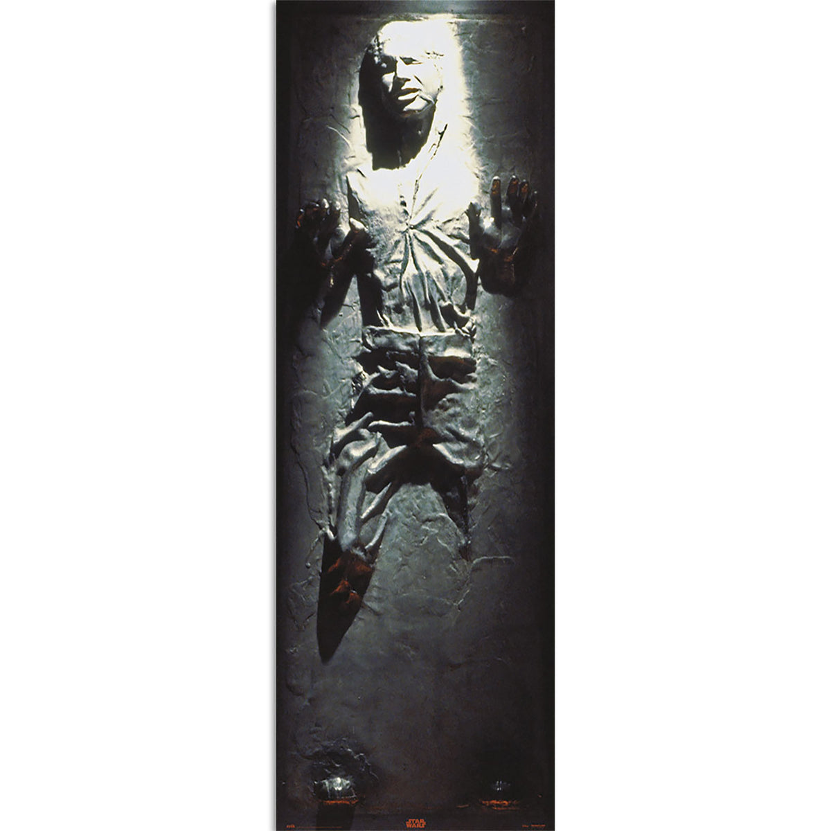 Image produit Star Wars - Han Solo en Carbonite Poster de Porte